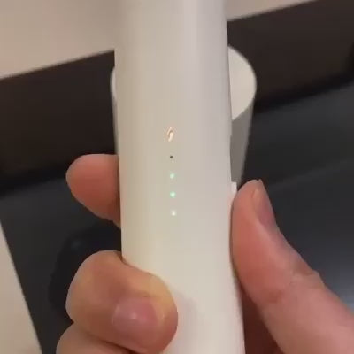 Raquette Anti-Moustique 2-en-1 Rechargeable avec Piège UV
